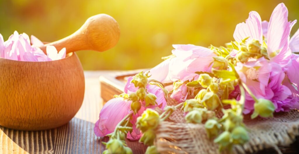 Summer Season in Chinese Medicine