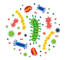 employ IBS Smart Test to address histamine issues
